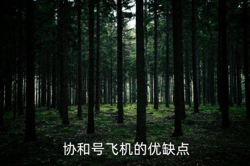 協和號,costa協和客機在意大利海岸擱淺機長安全生還