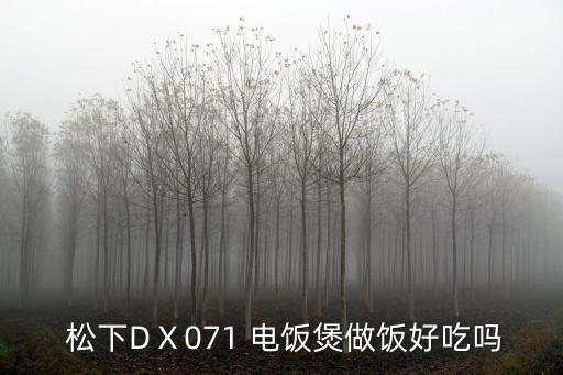 松下電飯煲,松下電飯煲功能多樣