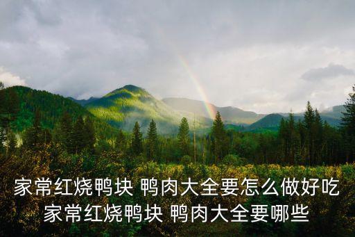 家常紅燒鴨塊 鴨肉大全要怎么做好吃家常紅燒鴨塊 鴨肉大全要哪些