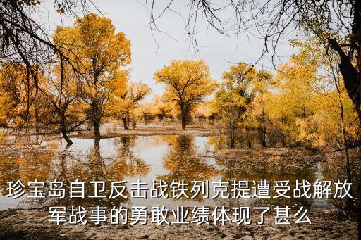 鐵列克提事件，珍寶島自衛反擊戰鐵列克提遭受戰解放軍戰事的勇敢業績體現了甚么