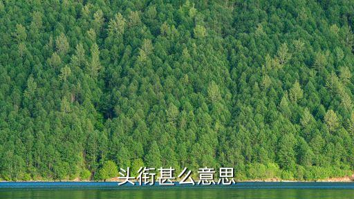 頭銜的意思，頭銜甚么意思