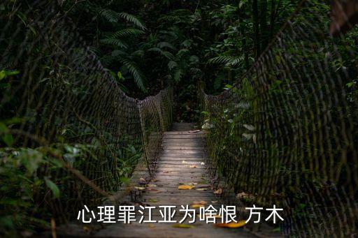  心理罪江亞為啥恨 方木