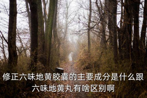 修正六味地黃膠囊，l修正六味地黃