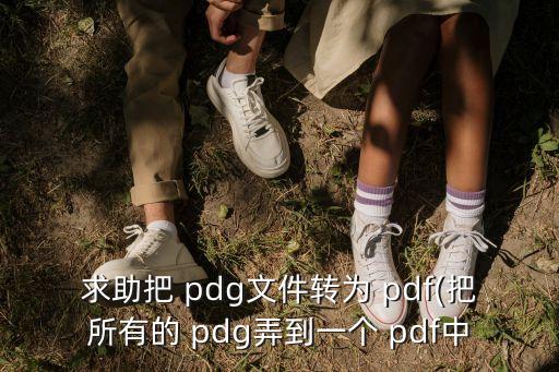 求助把 pdg文件轉為 pdf(把所有的 pdg弄到一個 pdf中