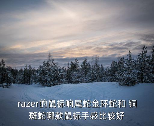 銅斑蛇,美國亞利桑那州蛇領地蛇王為王有何神秘?