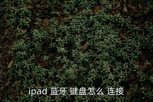 ipad 藍牙 鍵盤怎么 連接