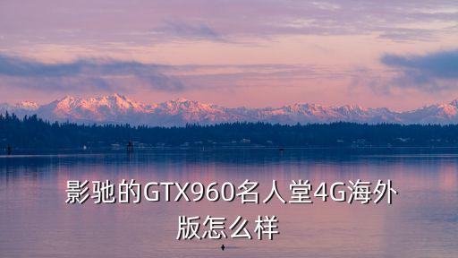 影馳gtx960,影馳gtx960配件包括顯卡和電眼