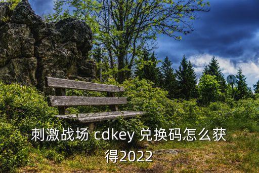 cdkey兌換,在游戲終端輸入cdk兌換code即可領(lǐng)取