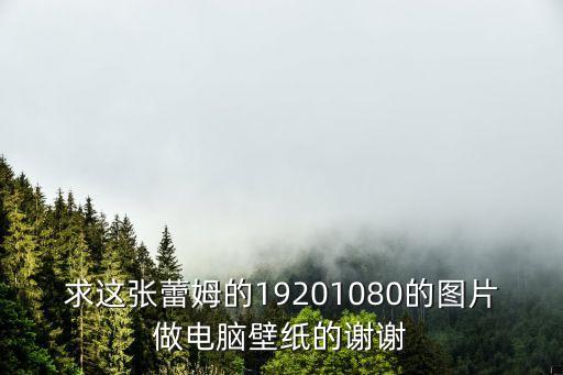求這張蕾姆的19201080的圖片做電腦壁紙的謝謝