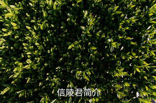  信陵君簡介