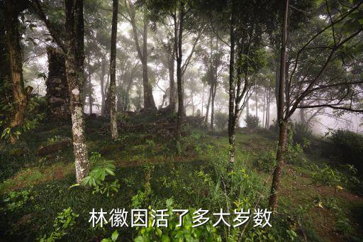 徽因，情重四月見(jiàn)徽因是什么意思