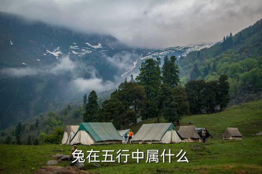 屬兔五行屬什么，屬兔五行是什么