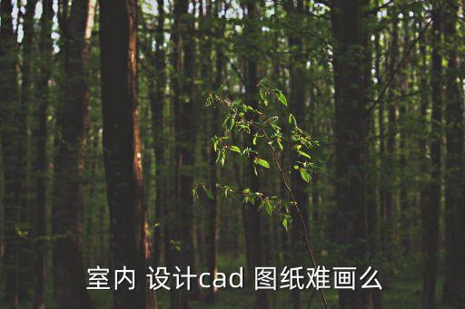  室內(nèi) 設(shè)計cad 圖紙難畫么
