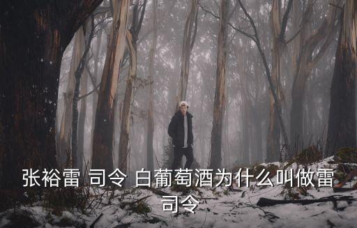 張?jiān)＠?司令 白葡萄酒為什么叫做雷 司令