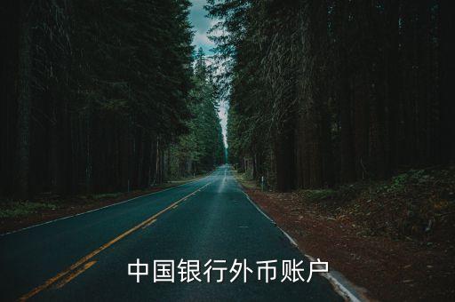 中國銀行外幣賬戶