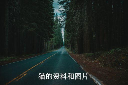 貓的資料和圖片