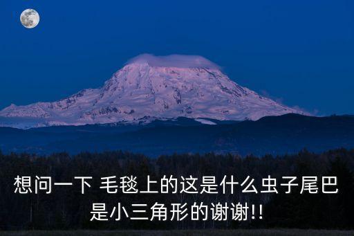 想問一下 毛毯上的這是什么蟲子尾巴是小三角形的謝謝!!