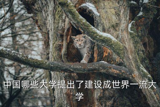 中國哪些大學提出了建設成世界一流大學