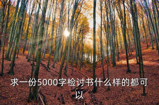 求一份5000字檢討書什么樣的都可以