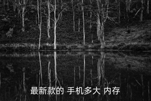 最新款的 手機多大 內存