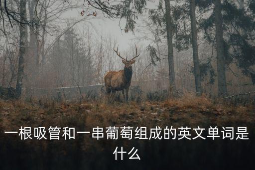 吸管英文，一根吸管和一串葡萄組成的英文單詞是什么