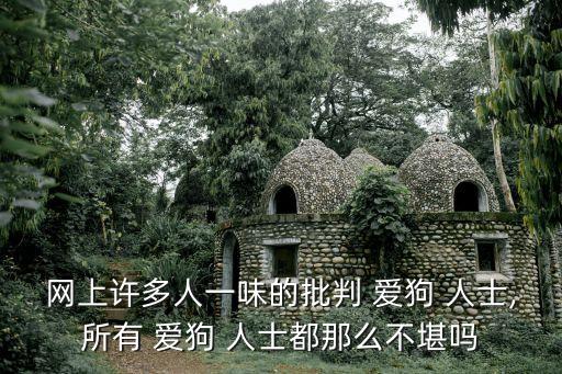 網上許多人一味的批判 愛狗 人士,所有 愛狗 人士都那么不堪嗎