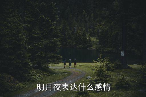 明月夜,明月留宿是唐代詩人葉莉?qū)懙?/></a></span><span id=