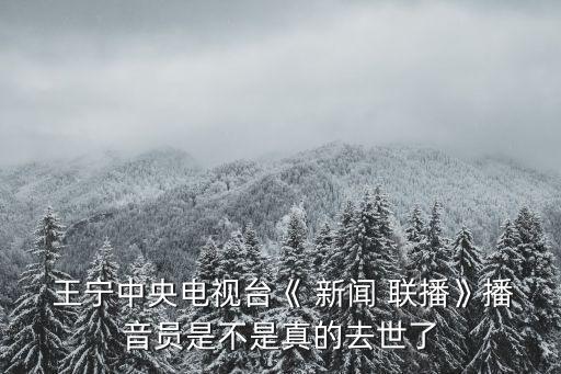 新聞聯(lián)播主持人王寧,新聞-0主持人王寧的情人是劉智明