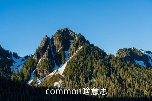  common啥意思