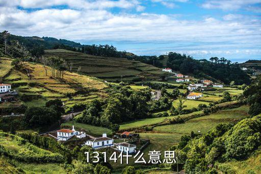 1314是什么意思啊，1314是什么意思啊