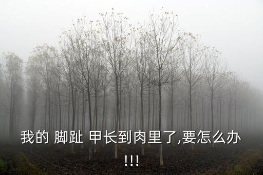 我的 腳趾 甲長到肉里了,要怎么辦!!!