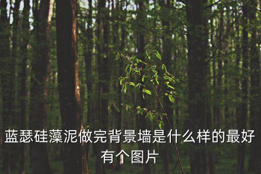 硅藻泥背景墻圖片，藍瑟硅藻泥做完背景墻是什么樣的最好有個圖片