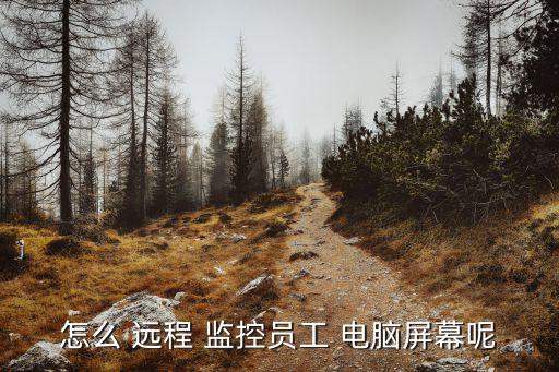 怎么 遠程 監(jiān)控員工 電腦屏幕呢