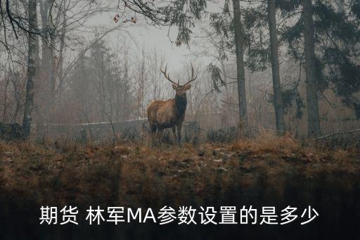 林軍,《傳奇再現(xiàn)》新生代都市小說(shuō)作家