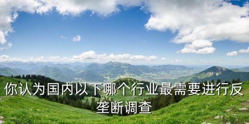 反壟斷調查，你認為國內以下哪個行業最需要進行反壟斷調查
