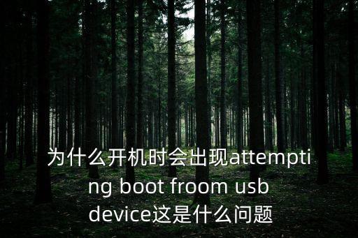 attempting，attempt什么意思