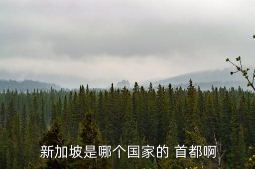  新加坡是哪個(gè)國(guó)家的 首都啊