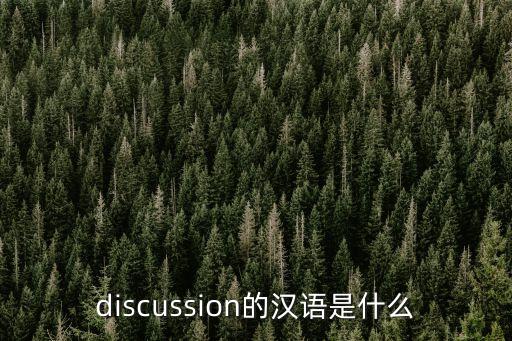 discussion的漢語是什么