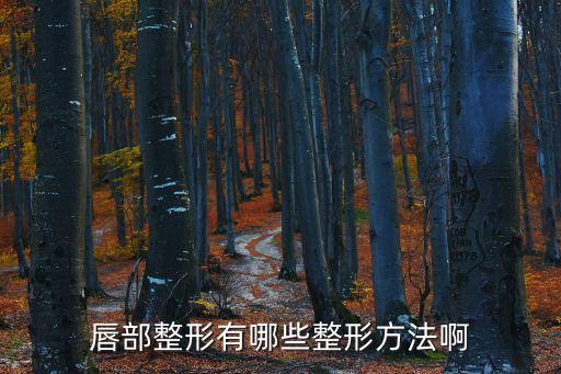 唇部整形有哪些整形方法啊