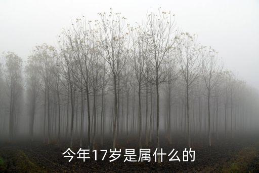 17歲屬什么，今年17歲是屬什么的