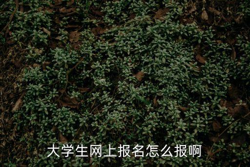 大學生網上報名怎么報啊