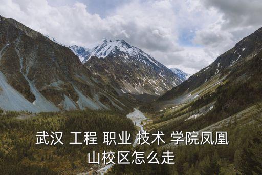  武漢 工程 職業 技術 學院鳳凰山校區怎么走
