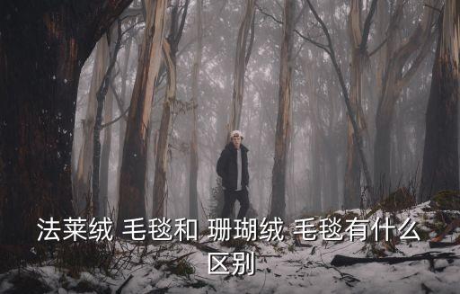 法萊絨 毛毯和 珊瑚絨 毛毯有什么區(qū)別