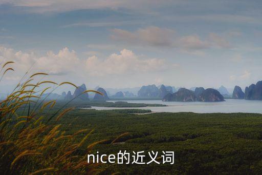 nice的近義詞，nice近義詞是什么
