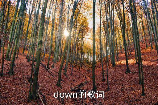 dowm，游戲王游戲 下載