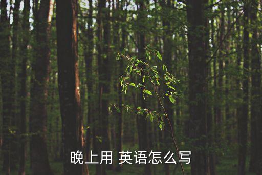 晚的英語,晚上的意思是什么?