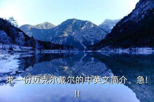 戴爾公司簡(jiǎn)介,邁克爾·戴爾1992年富豪榜最年輕ceo
