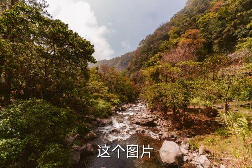 箜篌圖片，鲆魚的圖片