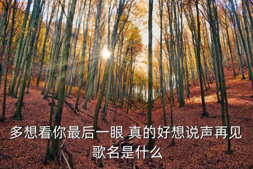 多想看你最后一眼 真的好想說(shuō)聲再見(jiàn) 歌名是什么