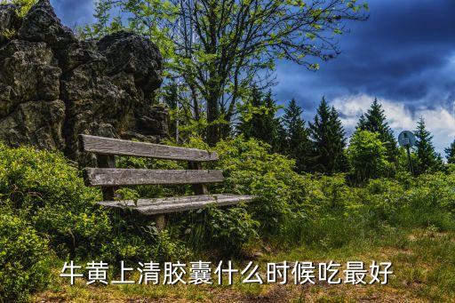 牛黃上清膠囊什么時(shí)候吃最好